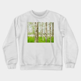 Birch Trees Crewneck Sweatshirt